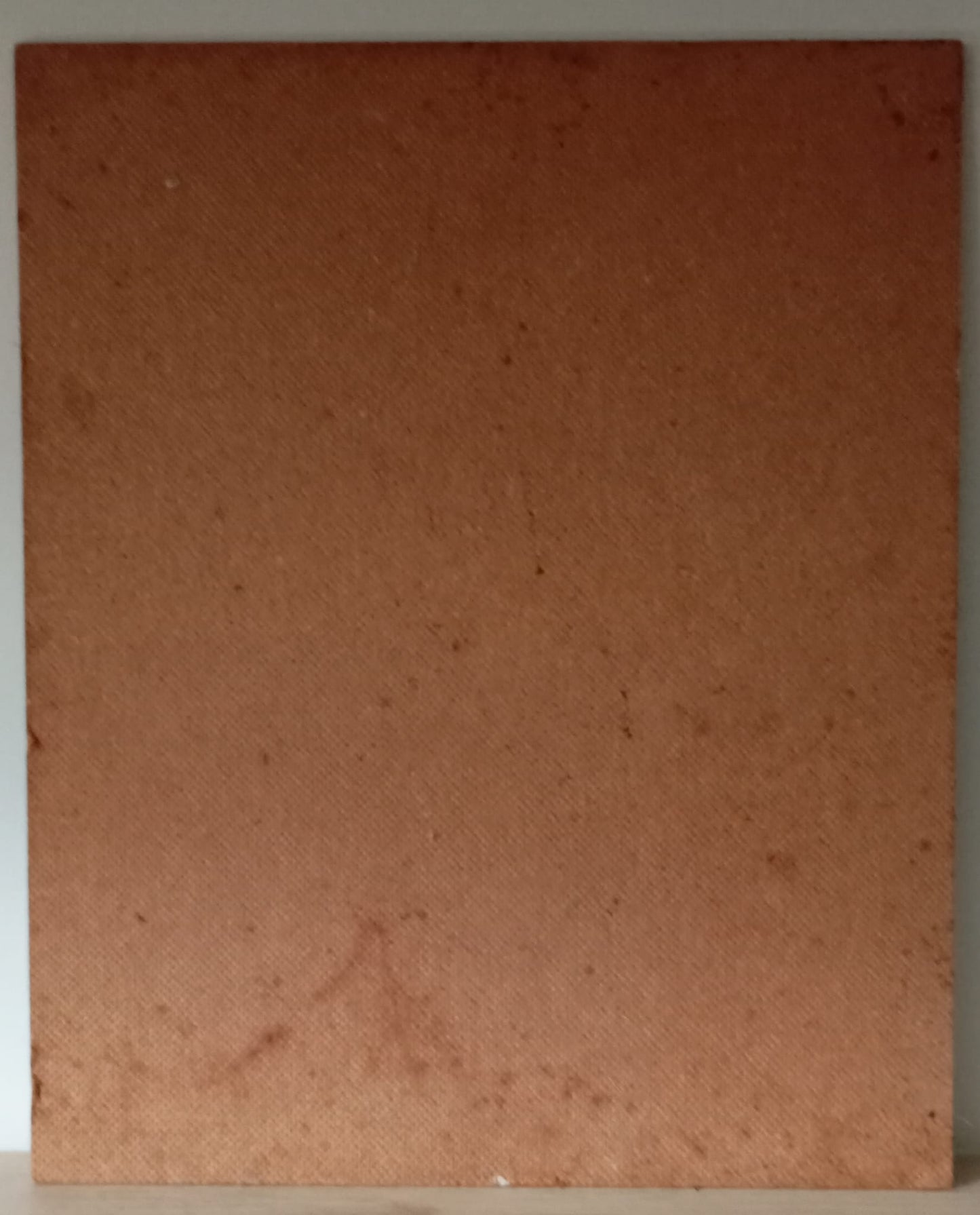 Still life. Bouquet of anemones