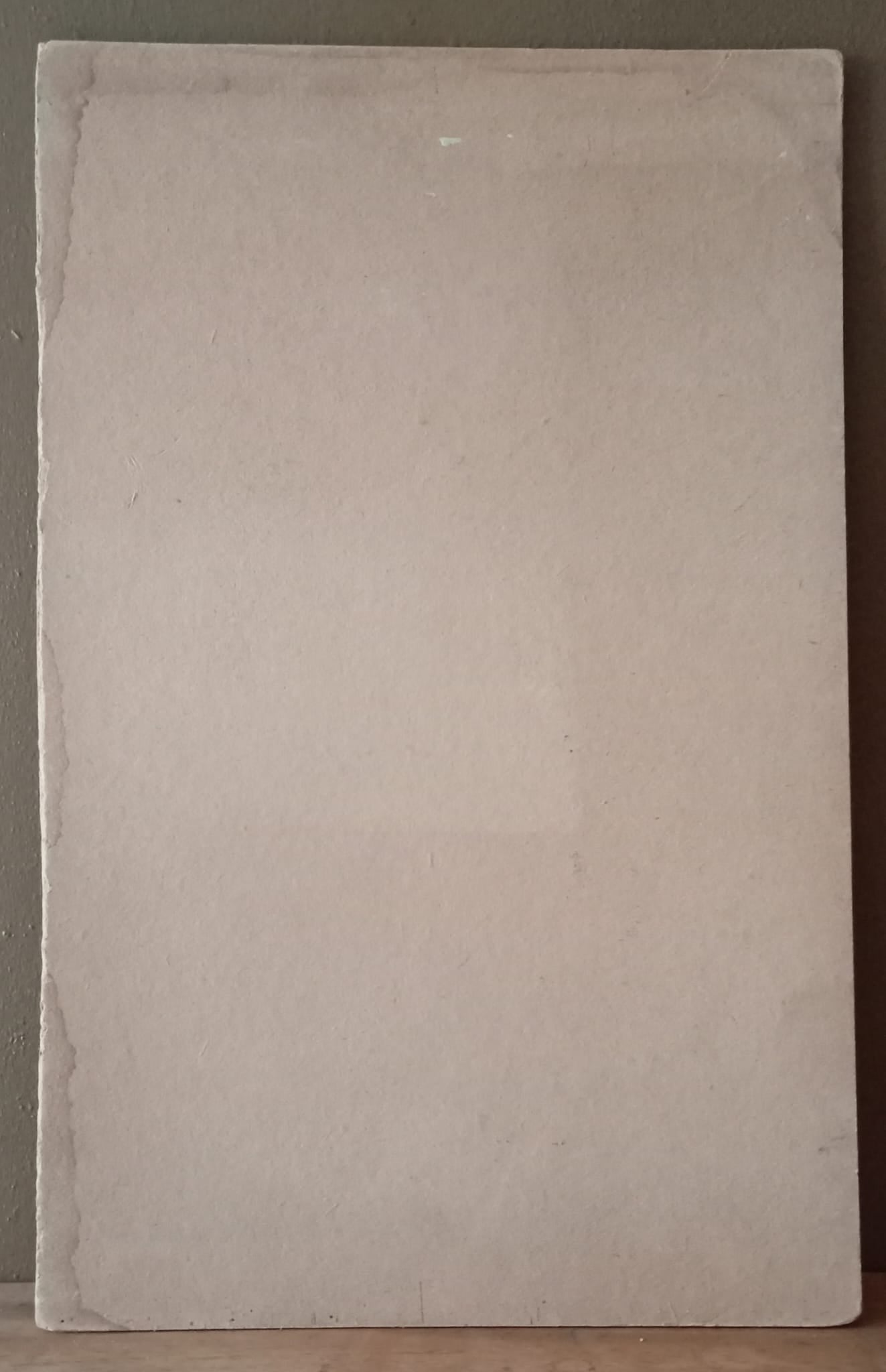 Portrait d'une femme au voile