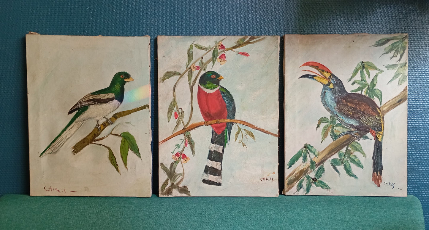 Trois tableaux. Oiseaux sur une branche
