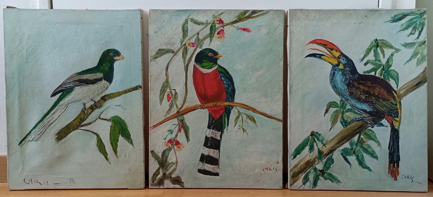 Trois tableaux. Oiseaux sur une branche