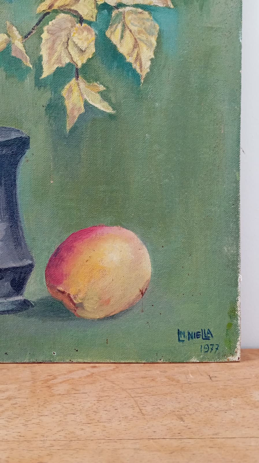 Nature morte fruit et plante