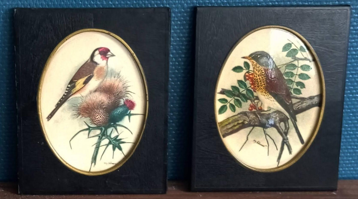 Deux lithographies oiseaux
