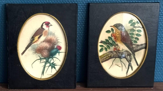 Deux lithographies oiseaux