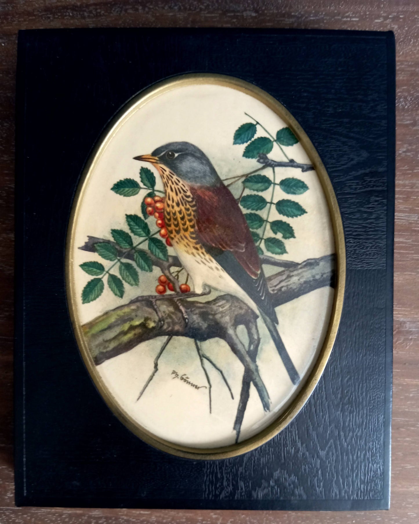 Deux lithographies oiseaux