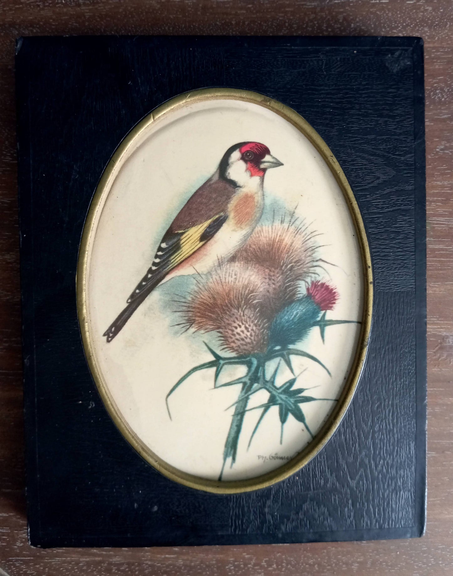 Deux lithographies oiseaux