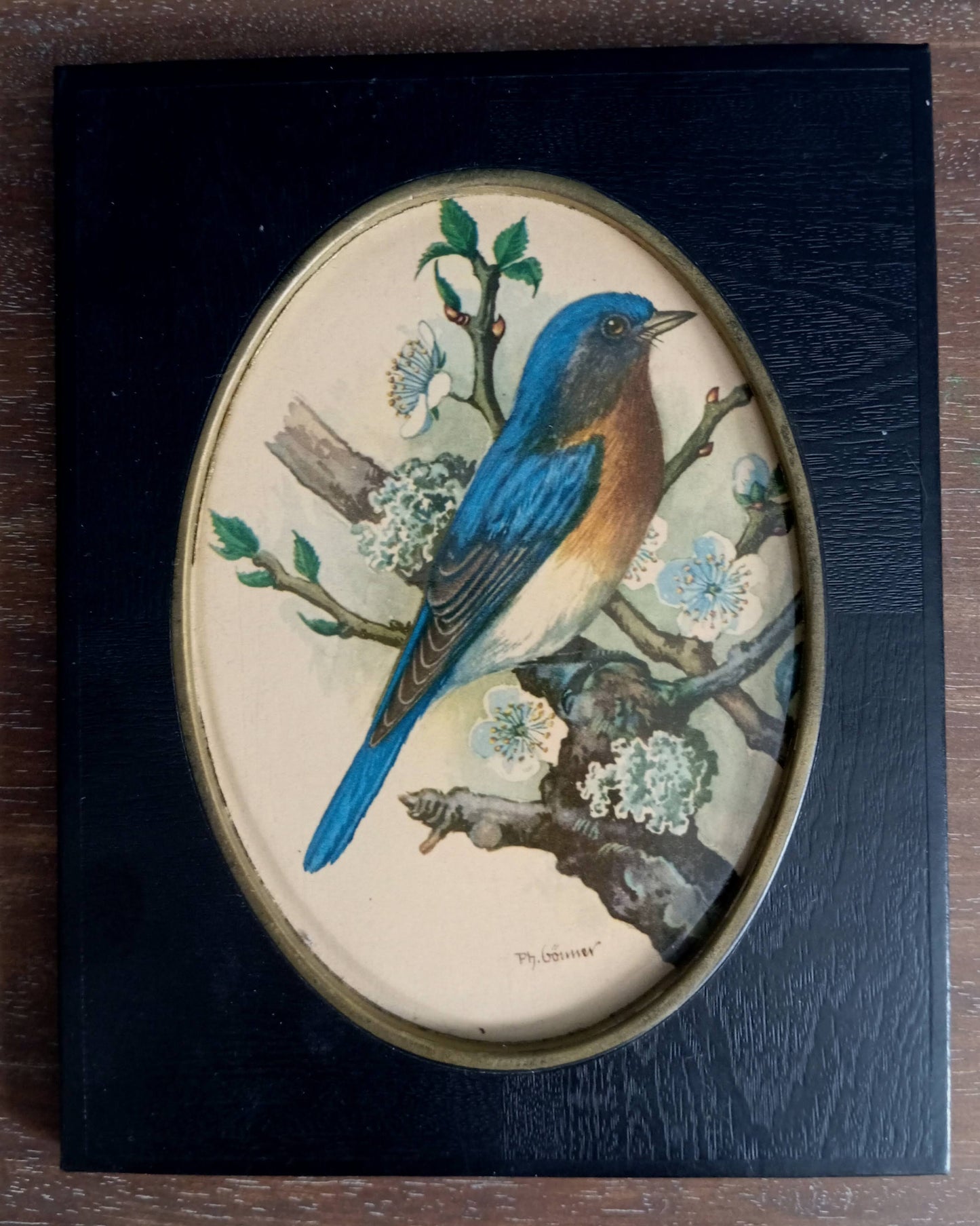 Lithographie oiseau